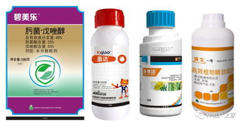 荸荠田施用除草剂的选择