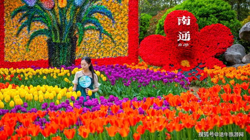 五月花开，花卉盛宴