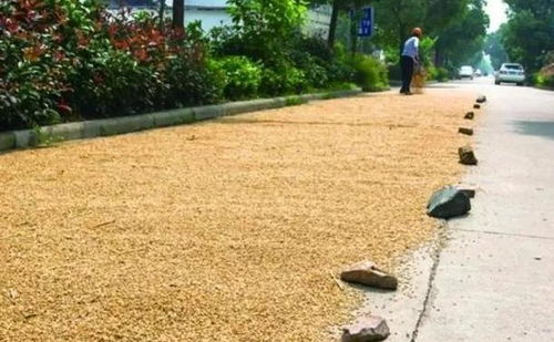 如何利用草皮覆盖技术有效防止城市道路在干旱季节出现干燥问题？