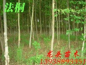 具体实践方法