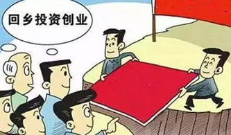 饲料代加工在农村创业中靠谱吗？这个行业前景如何？