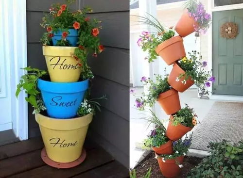 种两棵花盆里选啥菜类Zui好？