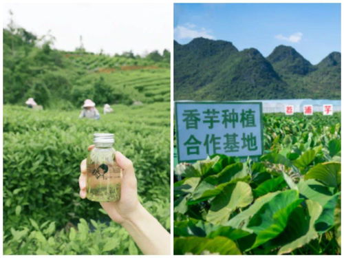 混播不是混战， 管理是关键