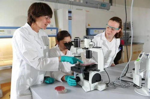 如何通过生物安全措施有效预防无疫苗可依的猪塞内卡病毒病？