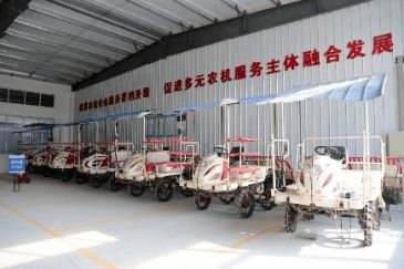 济宁饲料质量卓越，服务领先，如何助力我国养殖业实现更高效、可持续的发展？