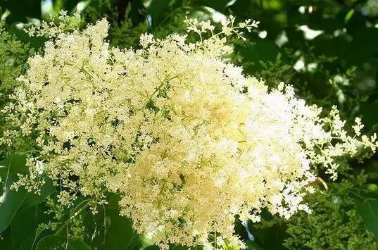 提高存活率：这些技巧你得知道