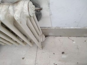 浇透不是浇漏， 分三次来