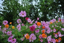 浇水是个技术活