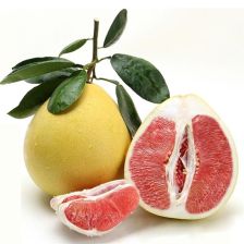 柚子苗种植时间揭秘：南北差异大， 技巧多