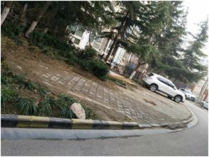 破坏绿化，破坏啥呢？