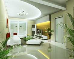 室内摆放花卉植物风水