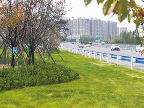 城市生态廊道构建绿色网络