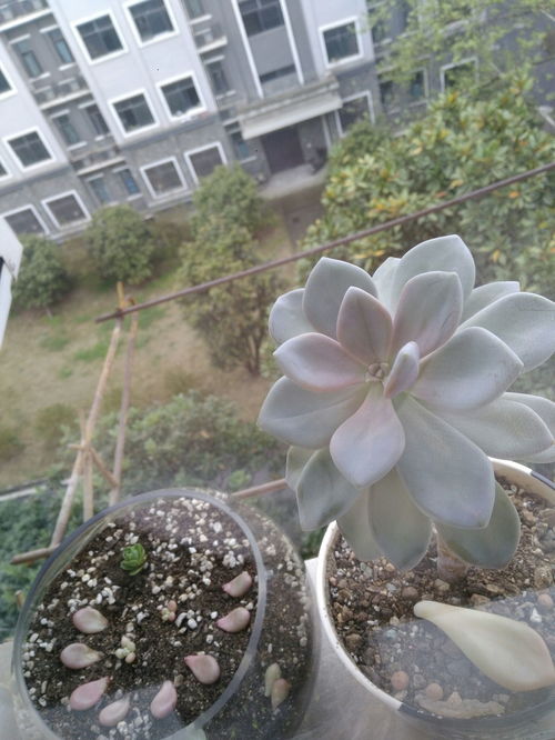 区域差异，就像地球一样，各有各的特色