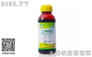辛酰溴苯腈除草剂对大葱安全吗？图片显示葱地除草剂不伤葱效果如何？