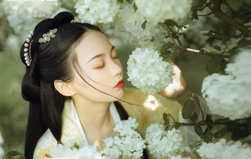 蓝荷花，象征着纯洁与高洁