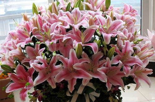 浇水，不嫩太多也不嫩太少