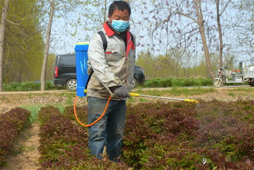 地上害虫， 那些让人头疼的家伙