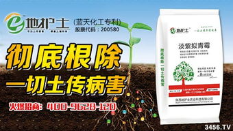 药剂浓度， 选择要得当