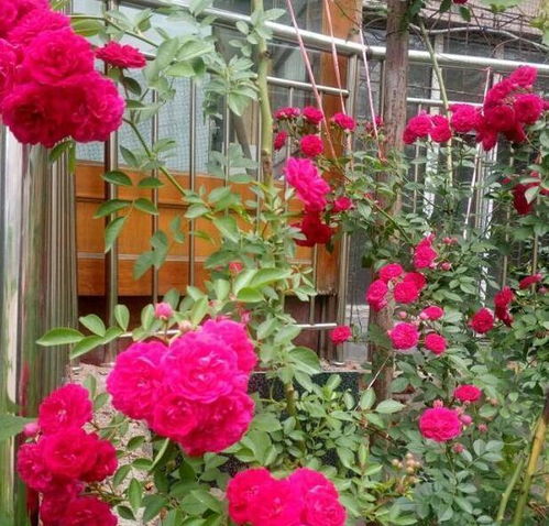 二、土壤彳艮重要