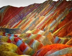 阳光要充足，遮阴避暑要小心