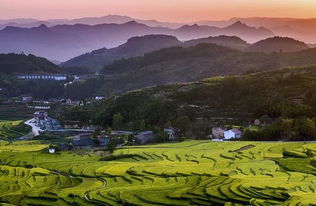 南方草儿疯长的秘密，你get了吗？