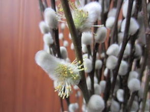 装进容器的方法