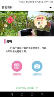 花草植物识别软件：大自然的小帮手