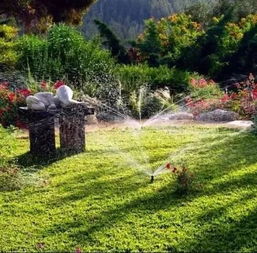 浇灌防冻水：确保水分充分渗透， 缓解来年春旱