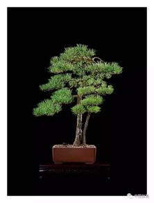 春秋季每月1次 夏季停用