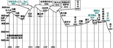 高原牦牛等恒温动物对高原的适应