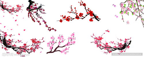 梅花品种大全：梅花图片与名称尽在此