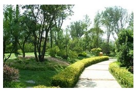 养护方案的重要性