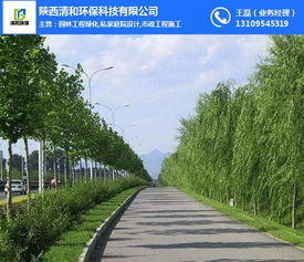 园林绿化工程确保苗木成活率的因素