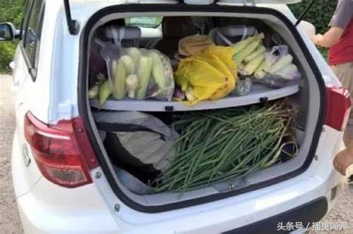 后备箱拉农药合法吗？揭秘真相！