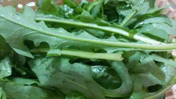 麦菜保鲜大揭秘：防止变质，延长保鲜期的小窍门