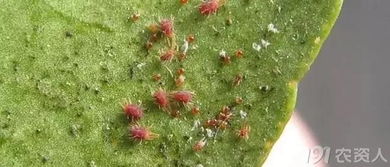 注意事项和案例分享