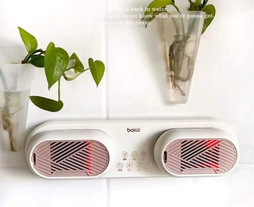 博拉利果蔬清洗机的优势