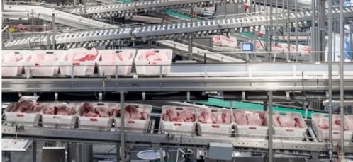 山东省各大饲料厂招聘牧原饲料厂员工，有哪些具体岗位和福利待遇？