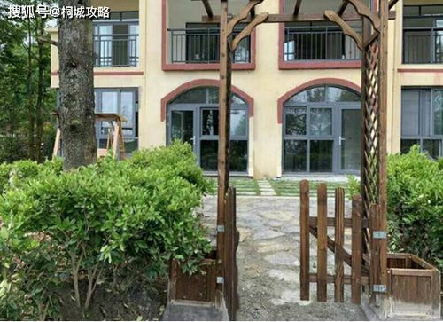 南川长青森林公园的魅力