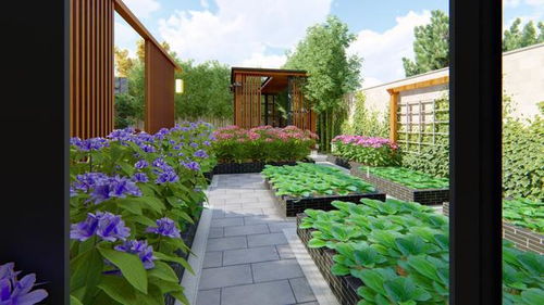 别墅四季常绿草种推荐，三大区域种草方案如何选择？