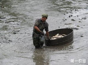新挖鱼塘，需清淤消毒