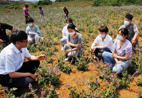 实际操作中的隐形支出（血泪教训）