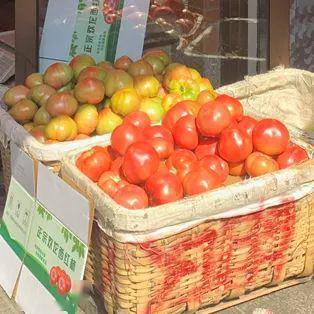 三、 西红柿：酸甜可口，营养丰富