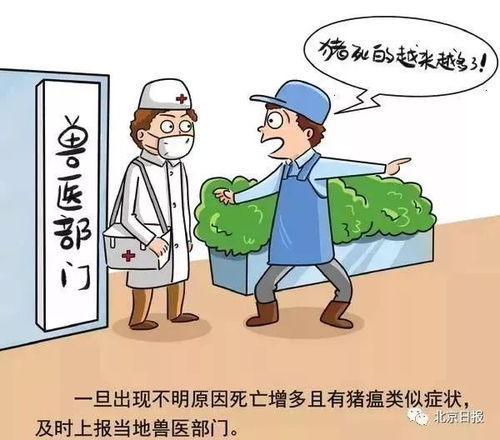 非瘟防控中，四大屏障与六大关键动作如何构筑防控防线？