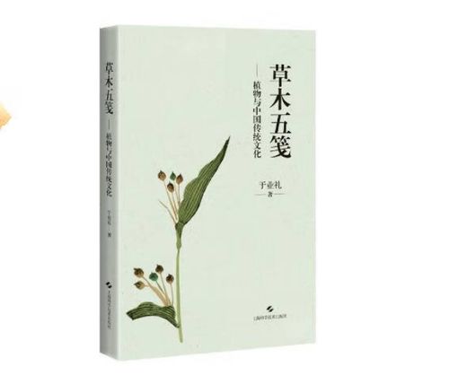 草木中的道家智慧