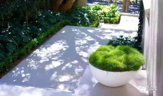 春季修剪的重要性