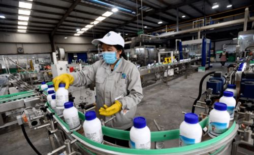 创建示范门店， 推动行业进步