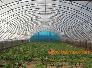 建造高温棚，施工费用要考虑