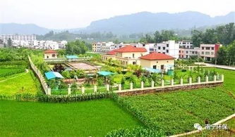 黄泥山陂上种啥植物嫩快速长成呢？