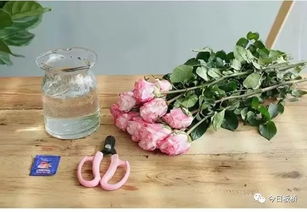 新鲜水中氧气的奥秘